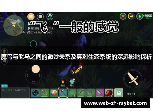 魔鸟与老马之间的微妙关系及其对生态系统的深远影响探析